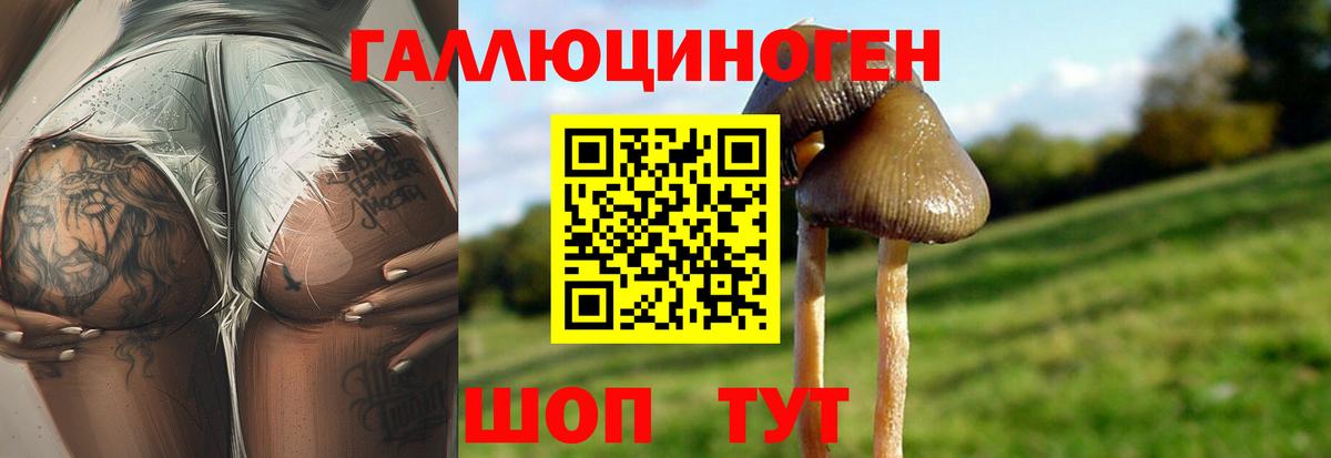 Галлюциногенные грибы Psilocybe Учалы